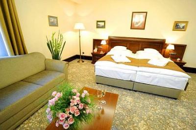 Andrassy Residence Tarcal - ruime hotelkamer tegen betaalbare prijs - ✔️ Andrassy Kúria**** Tarcal - Spa Wellness Hotel in Tarcal, Hongarije