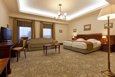 Cameră de lux în hotelul Andrassy de wellness şi spa în Ungaria - vacanţă de wellness în Residence Andrassy de 5 stele în Ungaria - ✔️ Andrassy Kúria***** Tarcal - Hotel de spa wellness în Tarcal, Ungaria