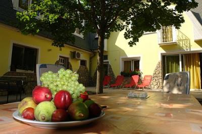 Alojamiento a precio económico en Sarvar - en la naturaleza maravillosa en Apartamiento Hotel Sarvar - ✔️ Apartamento Hotel Sarvar - apartamenros económicos con cocina en Sarvar, en la vecinidad del Jardín Botánico 