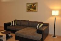 Appartement au prix spécial á Cserkeszolo en Hongrie - la salle de séjour avce le canapé