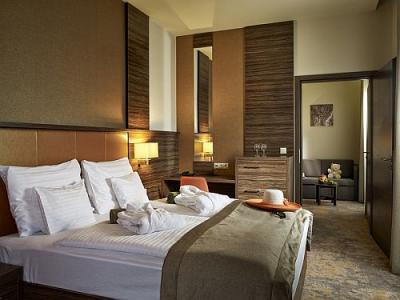 Camera dublă elegantă din Hotel Barack Termal din Tiszakecske, la preț cu reducere - ✔️ Barack Thermal Hotel**** Tiszakecske - Hotelul Wellness Barack cu reduceri