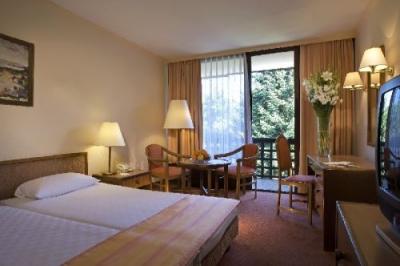 温泉ホテルSarvar-ダブルルーム - ✔️ ENSANA Health Spa Resort**** Sarvar - 温泉ホテル