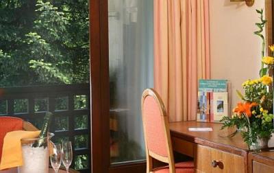 Double room in Danubius Thermal Hotel Sarvar - spa hotel - ✔️ ENSANA Thermal Hotel**** Sarvar - Danubius Health Spa Resort Sarvar