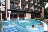 Bazin termal - tratamente termale şi wellness în Hotelul Danubius Health Spa Resort Sarvar