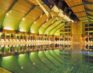 La piscine - Hôtel NaturMed Carbona Heviz - Hongrie