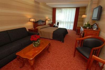 Chambre double de luxe à l'hôtel Divinus 5* à Debrecen - ✔️ Hôtel Divinus***** Debrecen - bien-être et repos à Debrecen 