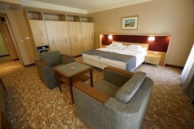 Хороший двухместный номер с французской кроватью в отеле Drava 4* - ✔️ Dráva Hotel**** Thermal Resort Harkány - велнес отель спа вблизи города Печ с лечебными водами