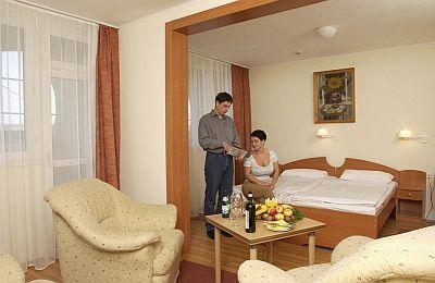 Hotel wellness en Eger - habitación - Hotel Park en Eger  - Hotel wellness en precio reducido - Hungría - Habitación - Hotel Eger**** Park Eger - hotel de wellness con descuento en Eger