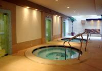 Fagus Hotel Sopron - jacuzzi - Sopron