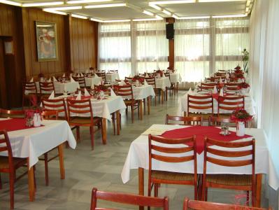 Piramis Hotel Gardony - ristorante - Lago di Velence - Ungheria - Piramis Hotel Gardony - albergo economico a Gardony al Lago Velence