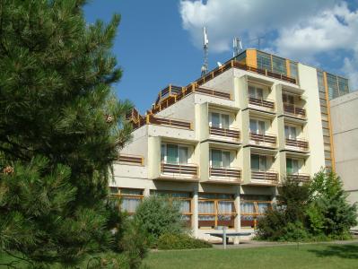 Piramis Hôtel Gardony - lac Velence - Gardony - Piramis Hotel Gardony - trois étoiles au bord du lac Velence