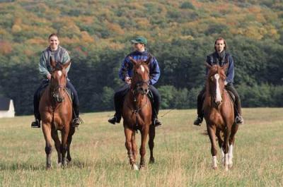 Cavalcata in Ungheria - servizi equestri vicino all'Hotel Lover - vacanze attive a Sopron - ✔️ Hotel Lövér Sopron*** - Speciale centro benessere con trattamento di mezza pensione a Sopron