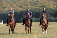 Hôtel Lover Sopron - l'équitation et Wellness - Hongrie