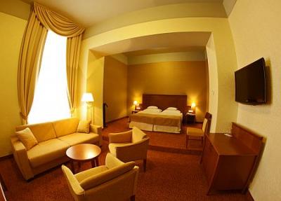 Mercure Hotel Magyar Kiraly Szekesfehervar - cazare ieftină în Ungaria - ✔️ Mercure Hotel Magyar Kiraly**** Szekesfehervar - Hotel de 4 stele în Szekesfehervar