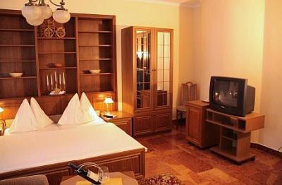 Hotel last minute a Budapest - Hotel Molnar Budapest - Hotel Molnar Budapest - hotel 3 stelle a Budapest