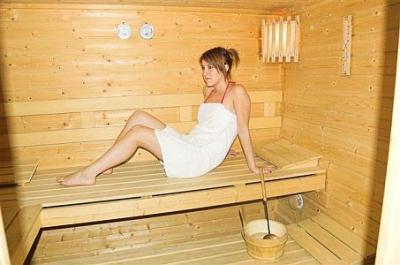 Sauna finlandese all'Hotel Molnar a Budapest - albergo tre stelle nella zona verde di Budapest  - Hotel Molnar Budapest - hotel 3 stelle a Budapest