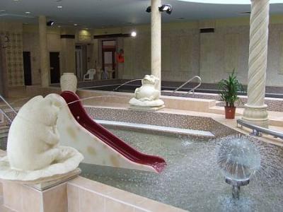 Piscina para niños en el Hotel Narad Park - Hotel Narad en Matraszentimre  con renovada sección de wellness - ✔️ Hotel Narád Park**** Mátraszentimre - hotel de 4 estrellas en Matraszentimre