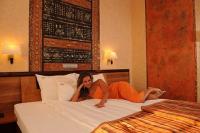 Meses Shiraz Hotel - vrije kamer met halfpension tegen gunstige prijs, in Egerszalok