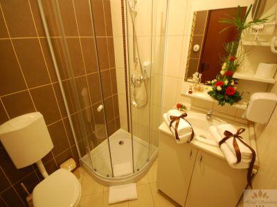 Bagno con doccia all'Hotel Sunshine Budapest - Hotel Sunshine Budapest - hotel poco costoso vicino alla fermata metropolitana Kobanya-Kispest 