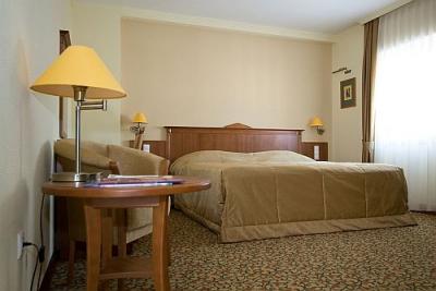 Hotel Business Wellness Aranyhomok - Camera Business dell'albergo centro benessere - ✔️ Hotel Aranyhomok**** Kecskemét - albergo benessere a Kecskemet - Ungheria 