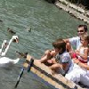 Family holiday in Hotel Annabella in Balatonfured - vacation at Lake Balaton