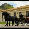 Hôtel Kapitany Sumeg - la possibilité de carrosse á cheval 