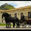 Hotel Kapitany in Sumeg offers horse cart services