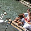 Vacaciones de familia en Balaton - Hotel Annabella Vacaciones de familia en Balaton - Hotel Annabella