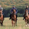 Cavalcata in Ungheria - servizi equestri vicino all'Hotel Lover - vacanze attive a Sopron